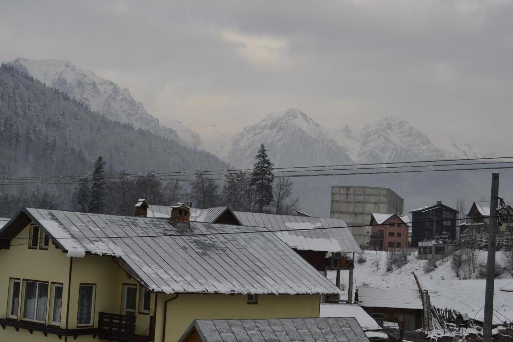 Miraj Hotel Azuga Zewnętrze zdjęcie